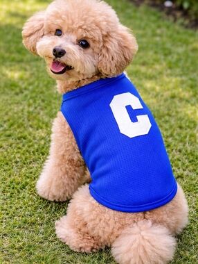 Dog Shirt Blue Pet Jersey Letter C Small Dog Clothes Cute Puppy Outfit